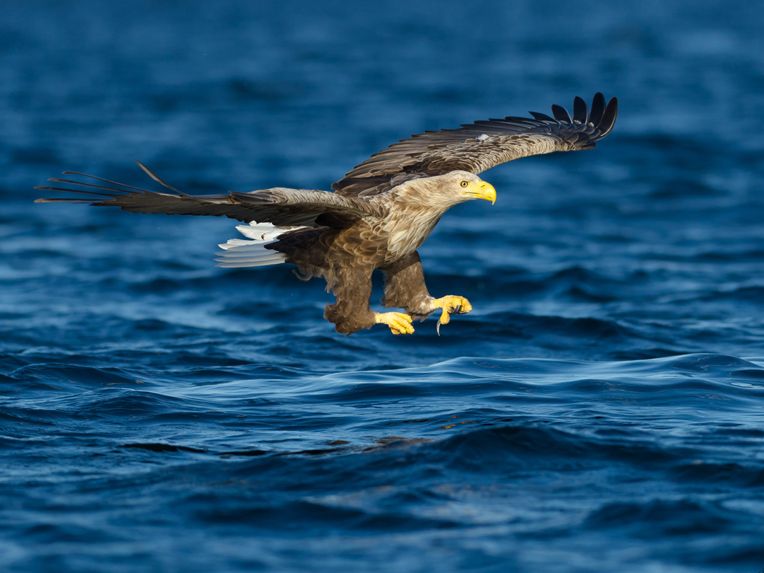 Island gem Smøla now easier to reach from Kristiansund cruise port