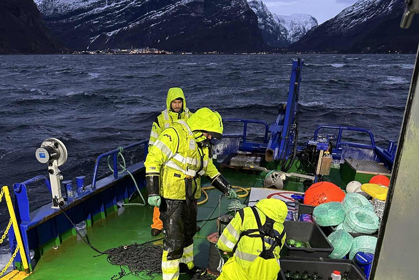 Tre personer i arbeidstøy på båtdekk. Bølgende fjord og snødekte fjell i bakgrunn. Foto.